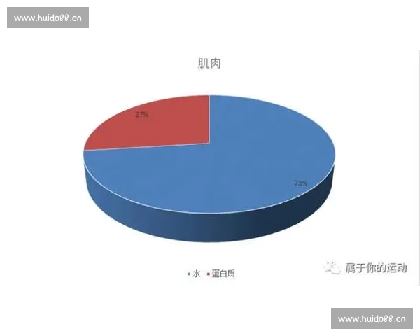 新手必读：观看体育赛事容易遇到的常见疑问全解 - 副本 - 副本 (2)